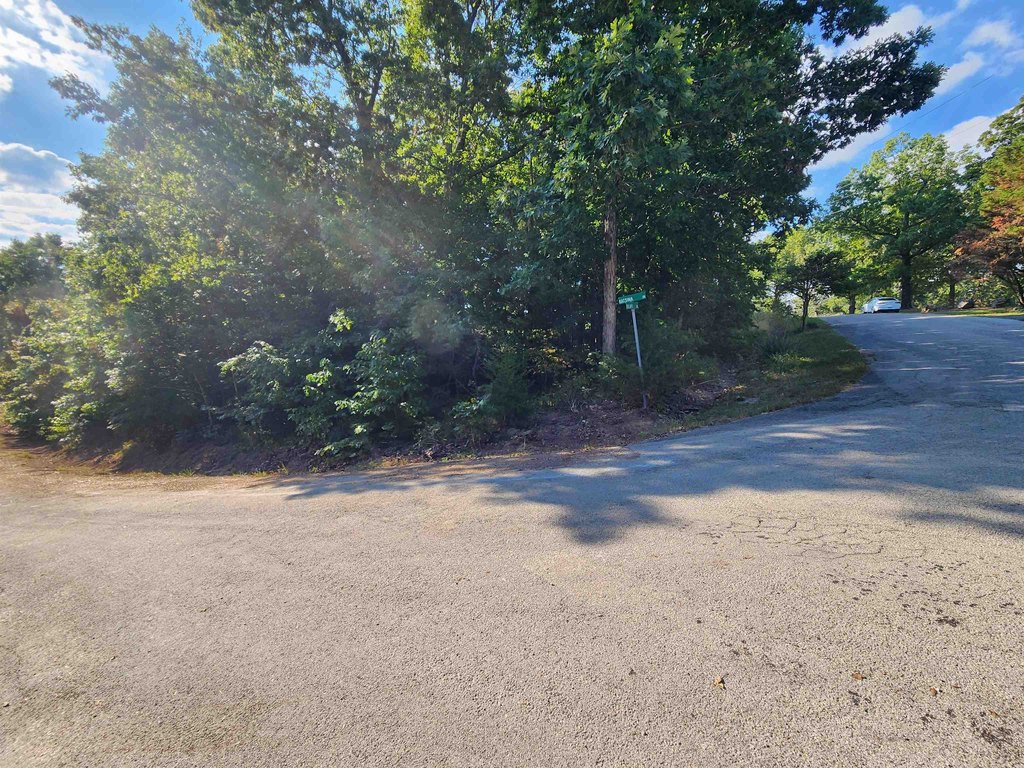 Picture 17