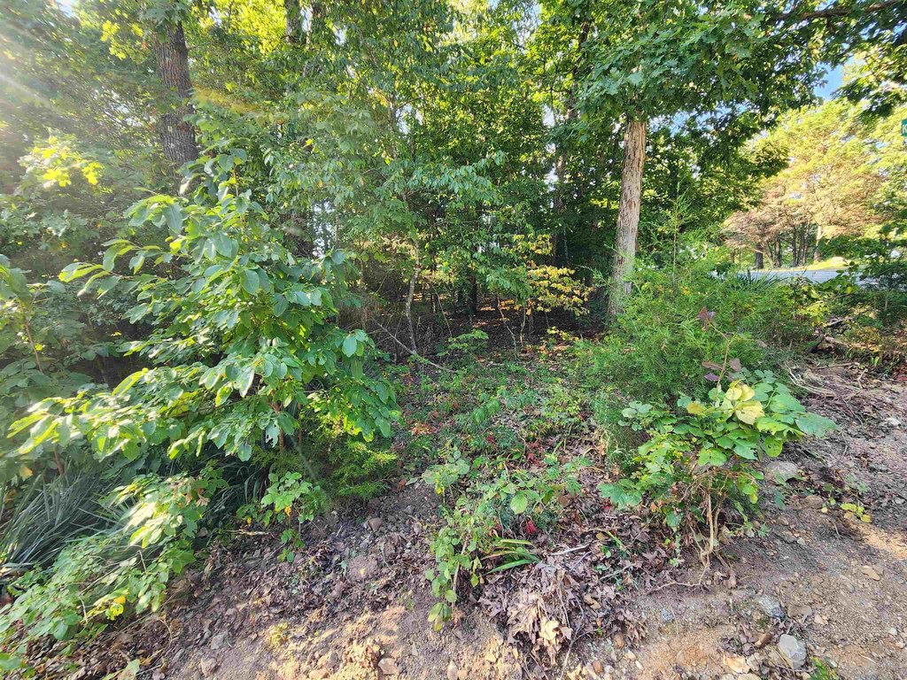 Picture 24