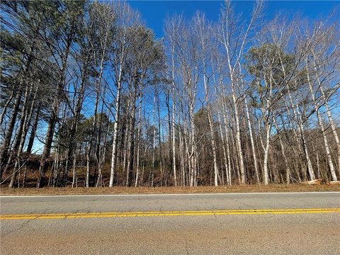 LAND - Villa Rica, GA
