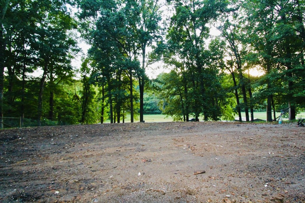 Picture 10