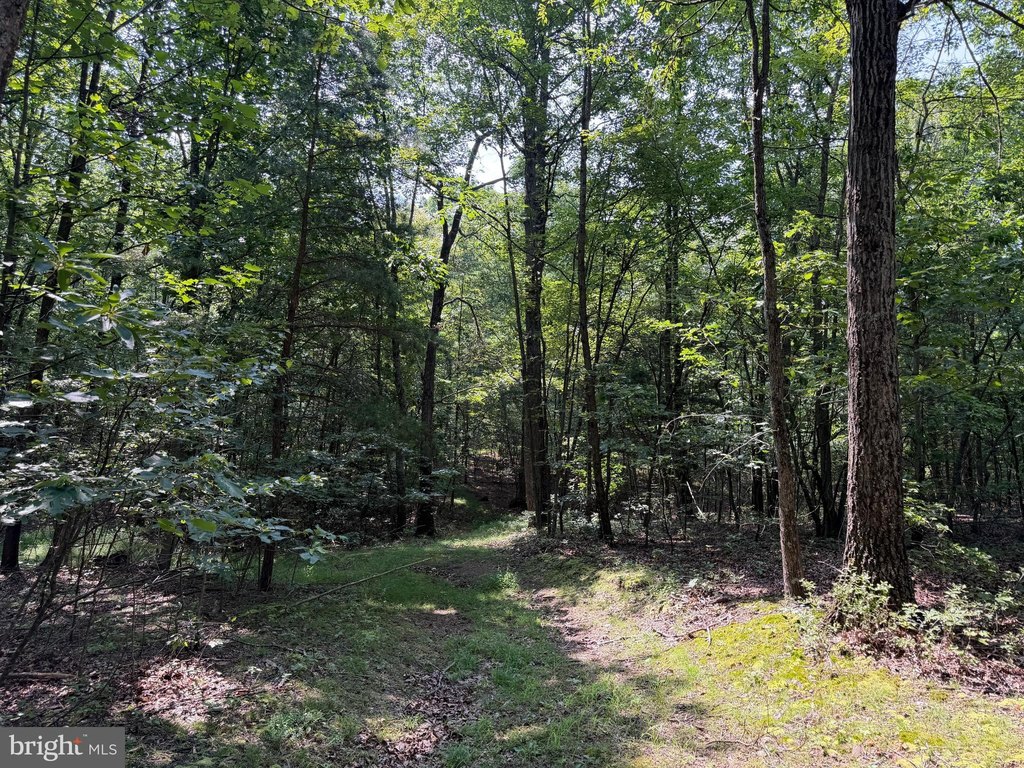 Picture 28