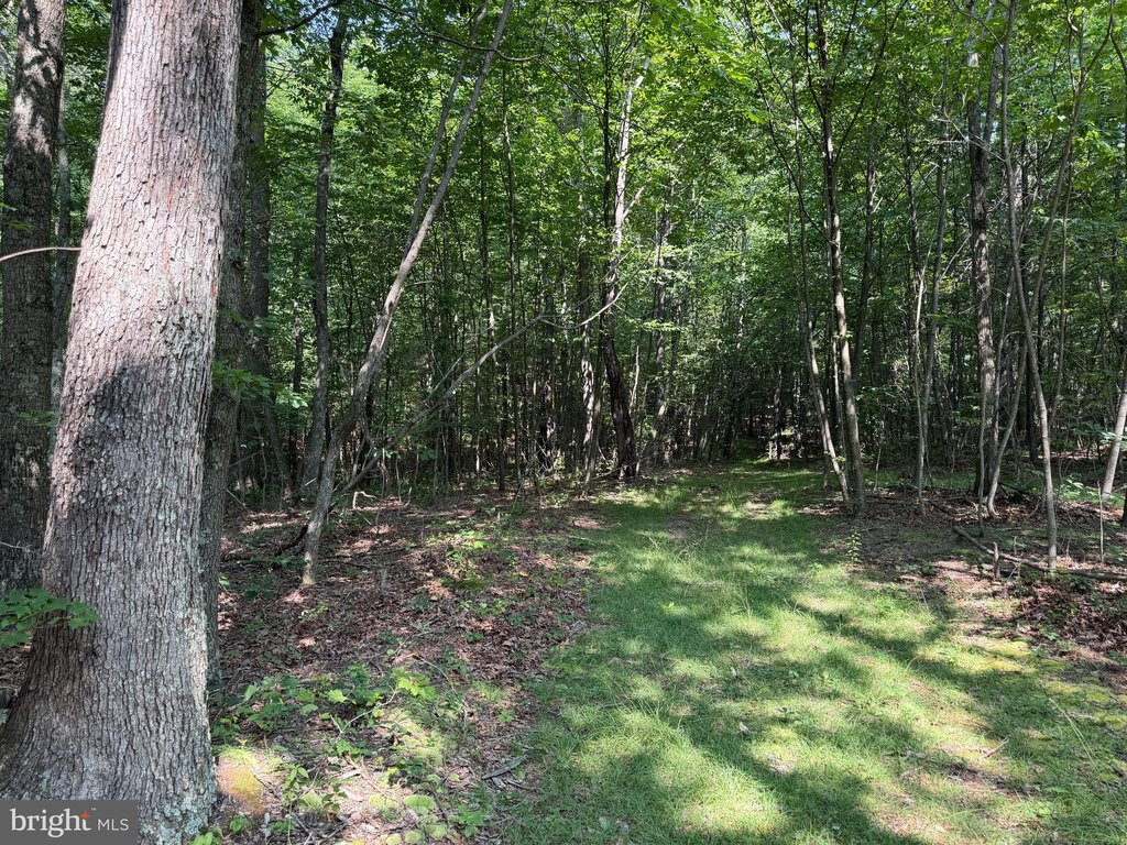 Picture 26