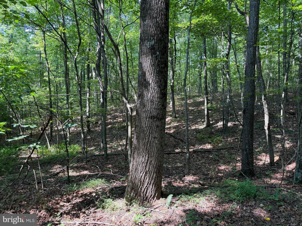 Picture 47