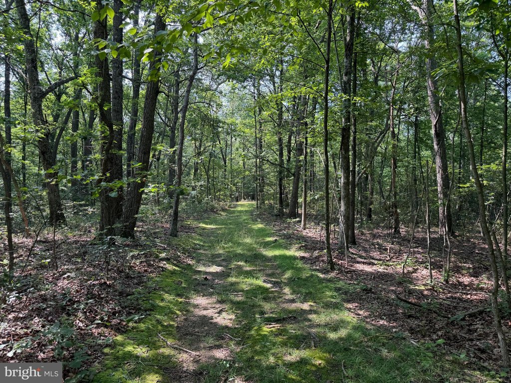 Picture 25
