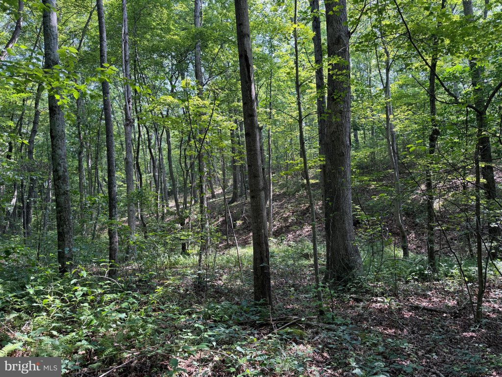 Picture 62