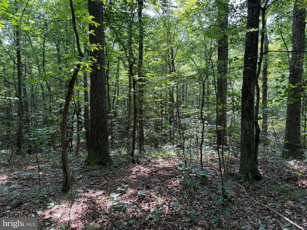 Picture 48