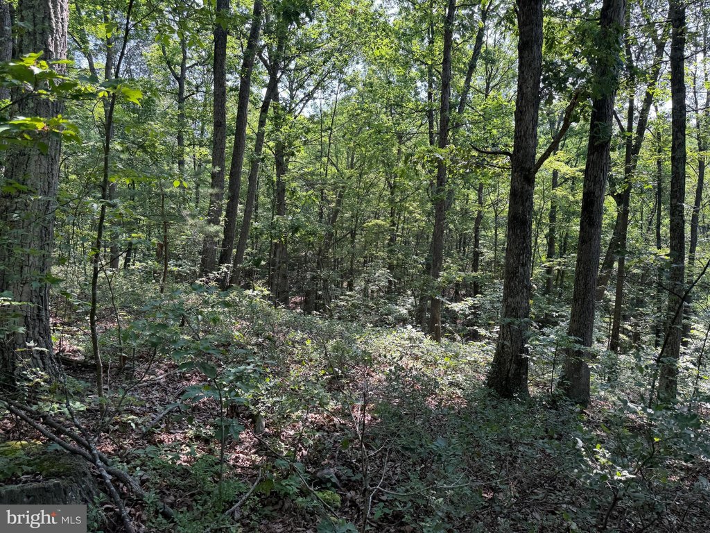 Picture 33