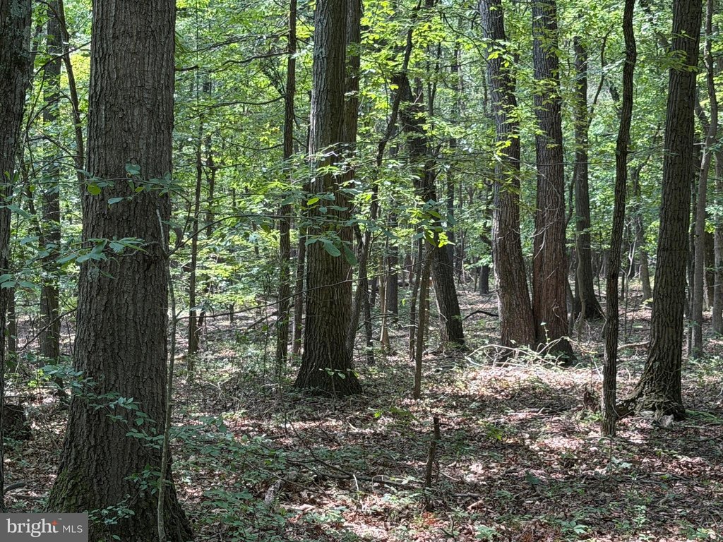 Picture 69
