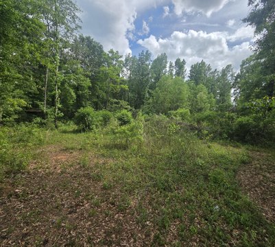 Molino, FL Acreage Lot