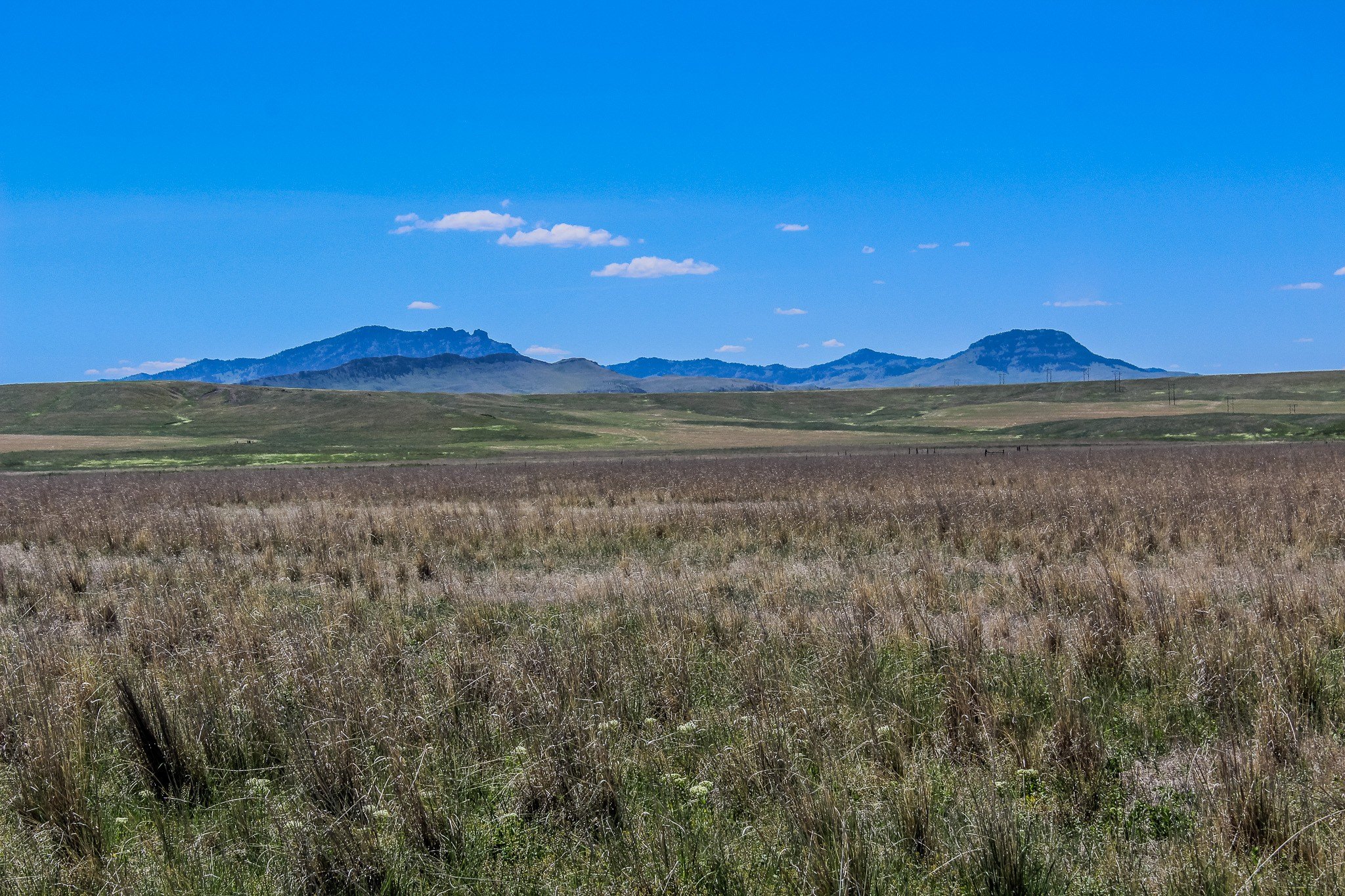 40 Acres with Creek Frontage