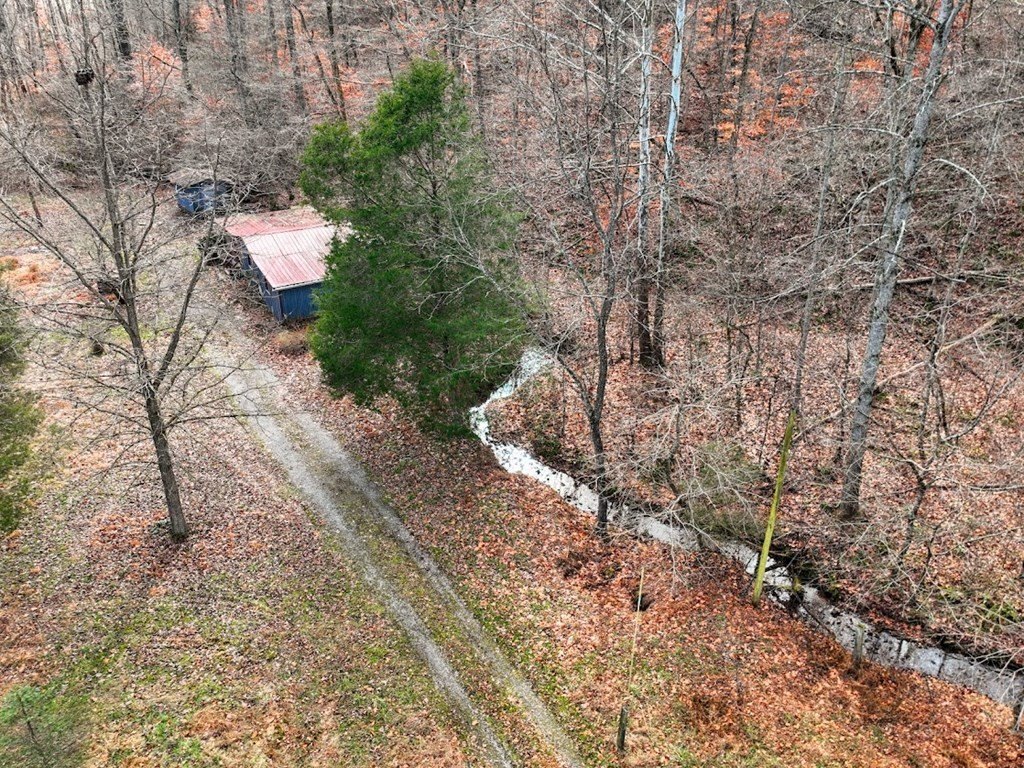 Picture 2