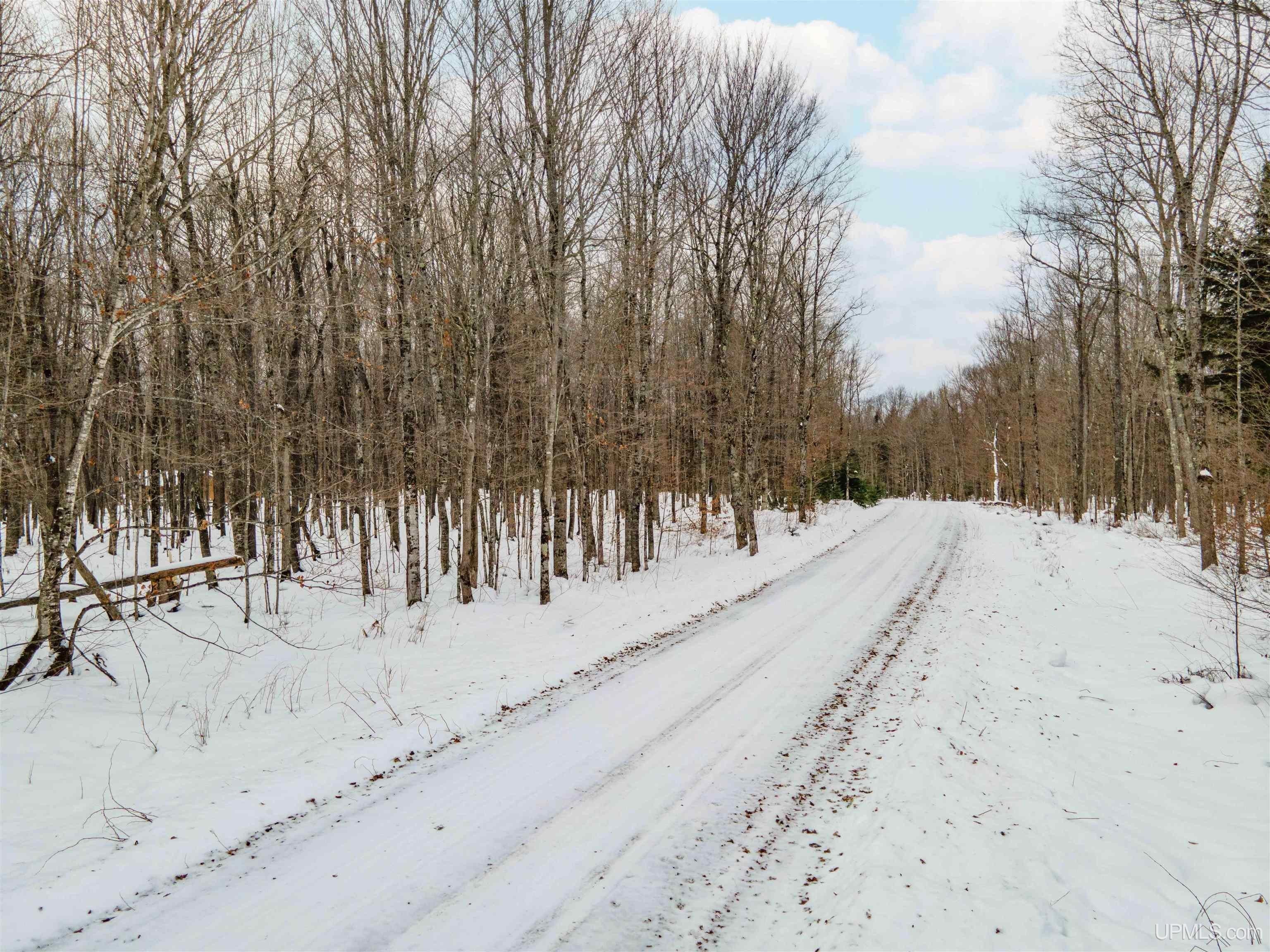 Wooded Land Near Homan Lake