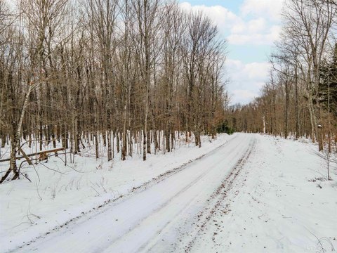Wooded Land Near Homan Lake