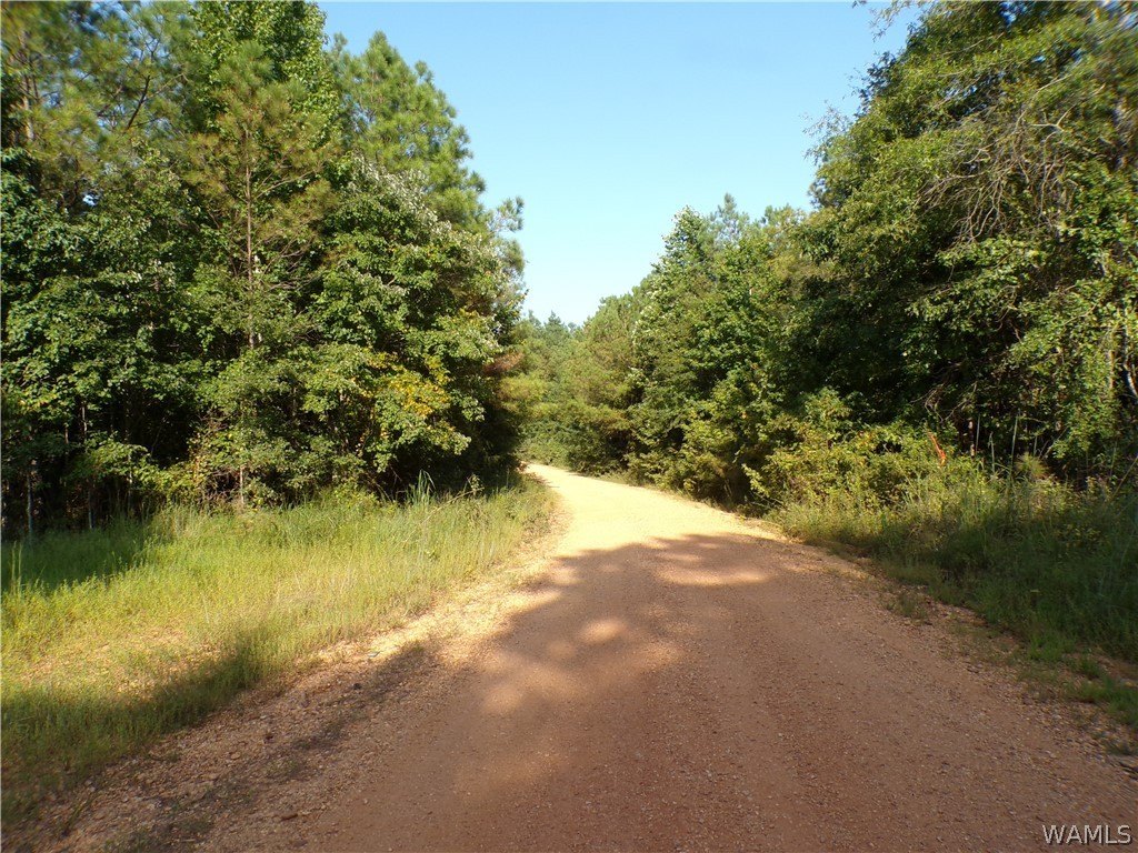 Picture 7
