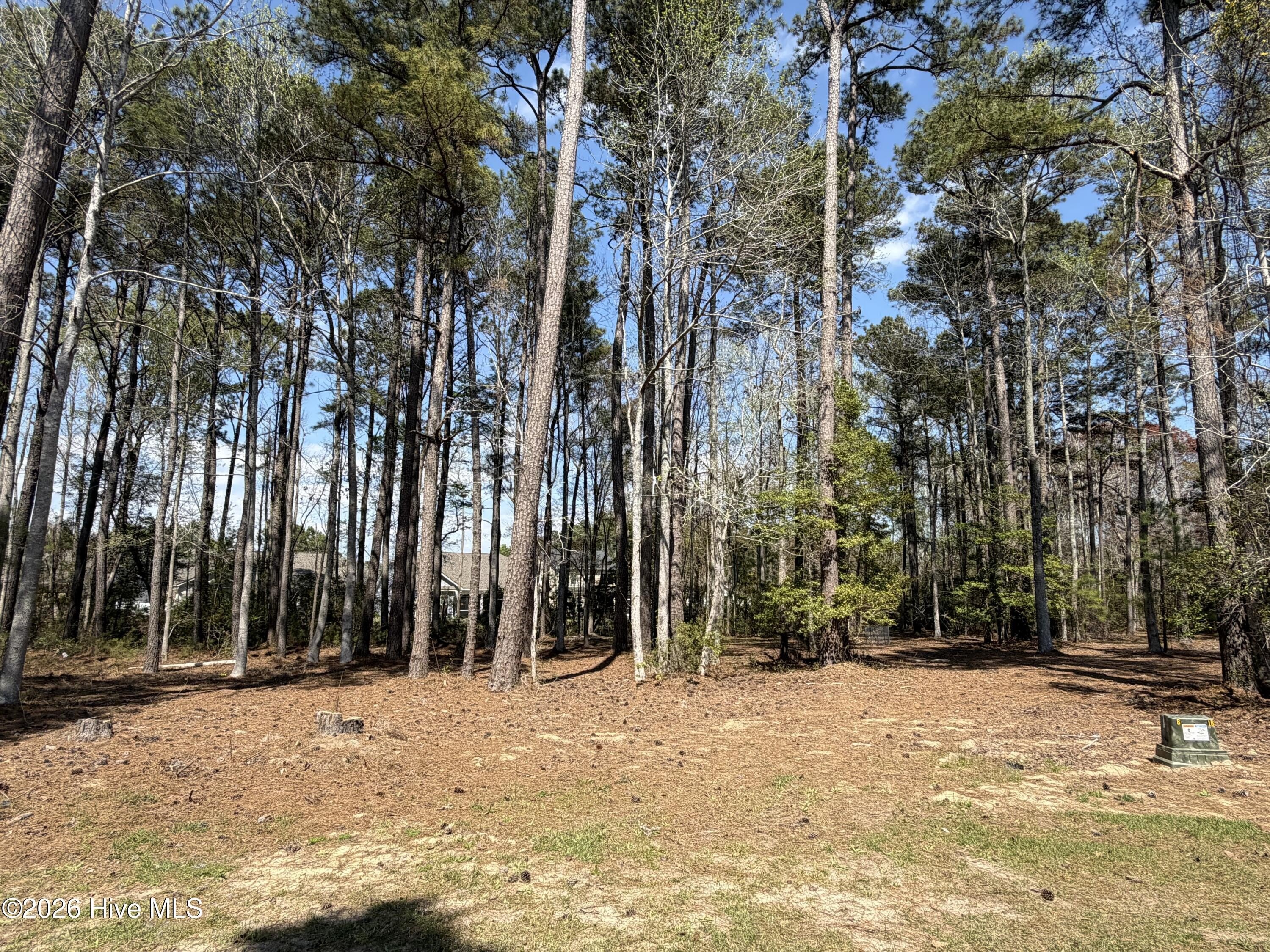 Homesite in Gated Community