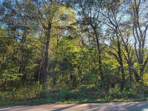 LAND - BESSEMER, AL