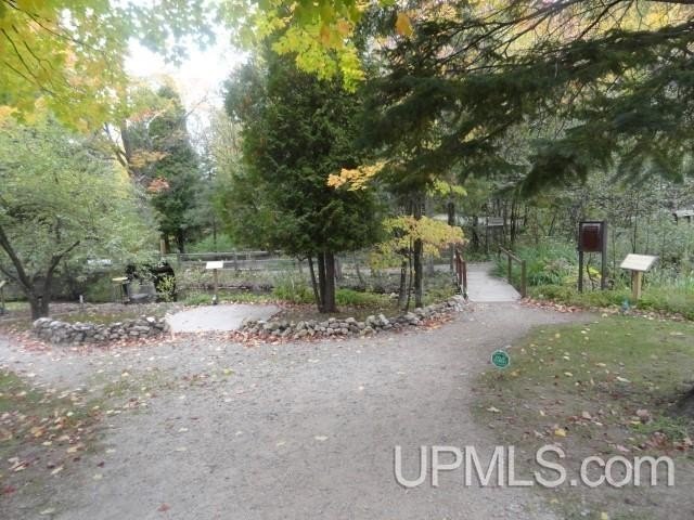 Picture 13
