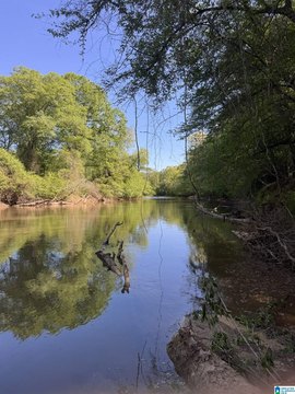 LAND - WOODLAND, AL