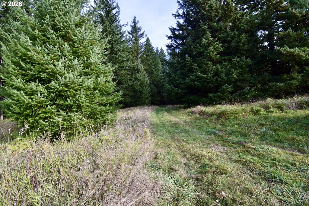 Picture 25