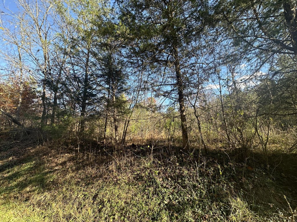 Picture 4