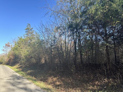 Land, Decatur, TN