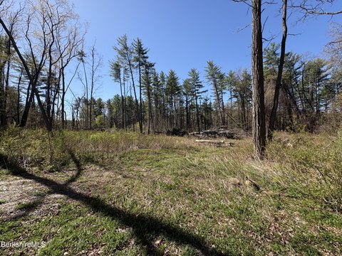 Berkshire Land Parcel For Sale
