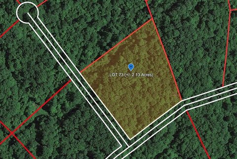 Wooded Land in Bragg, WV