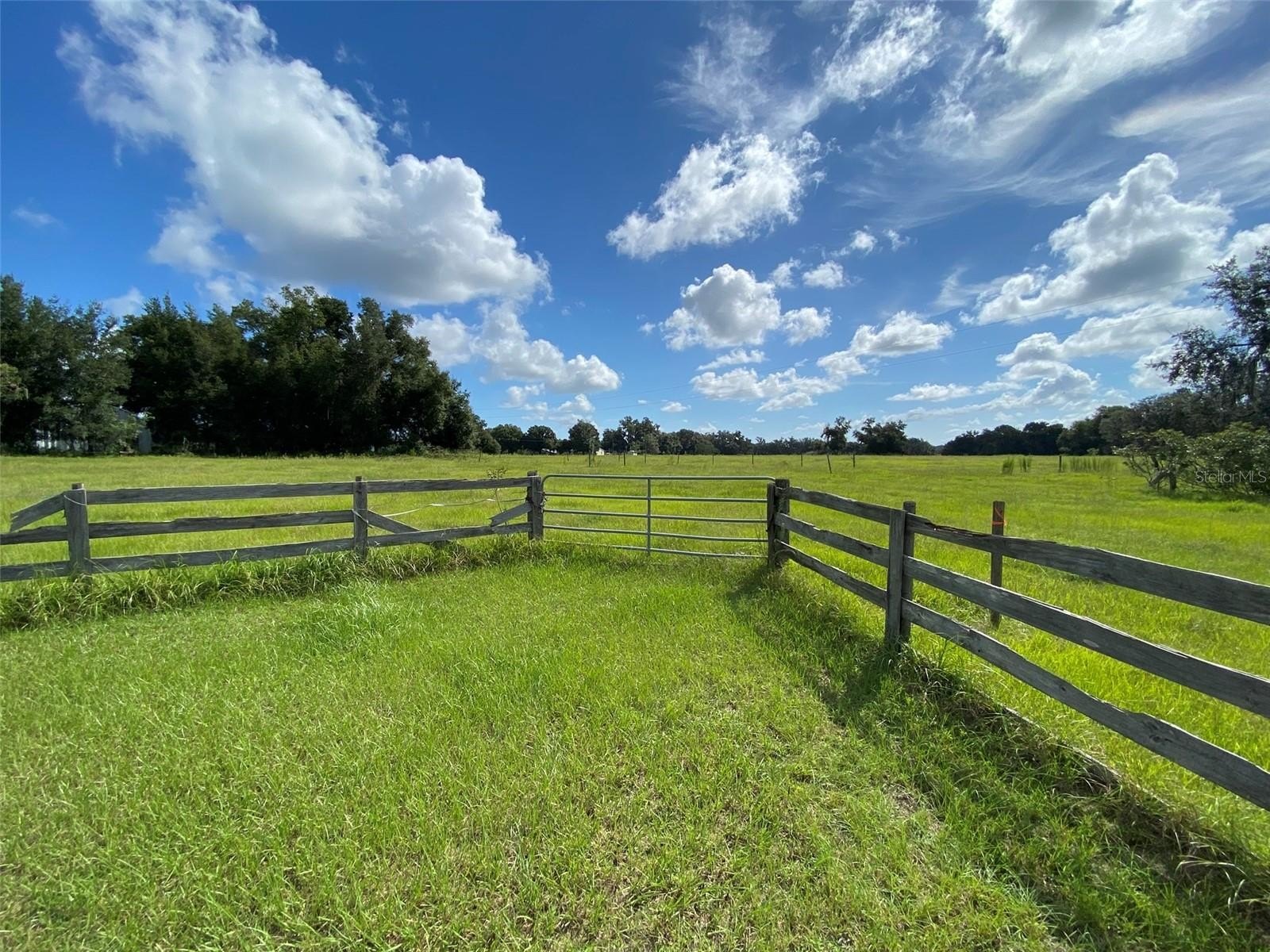 14 Acres Near Webster Flea