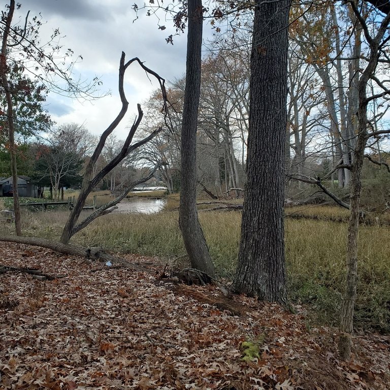 Picture 13