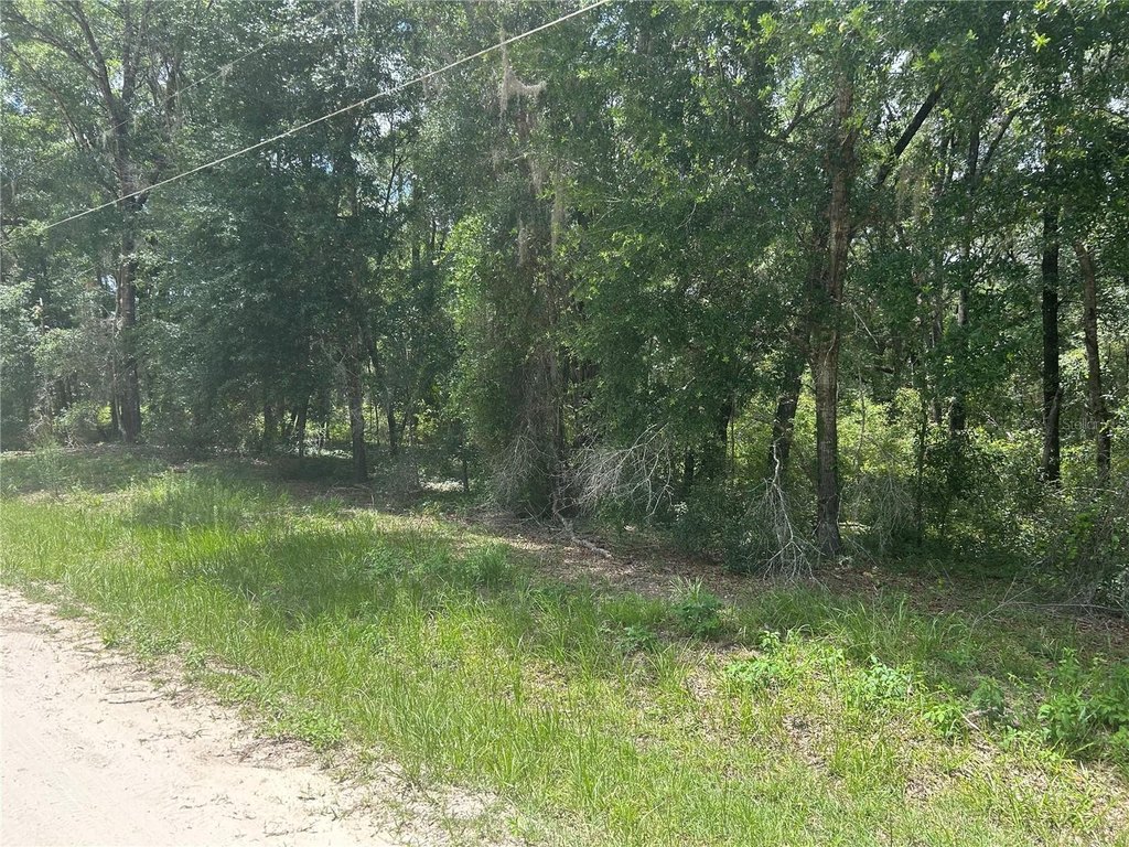 Picture 3