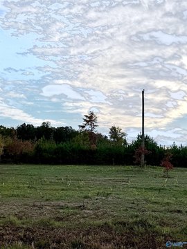Piedmont, AL Land For Sale