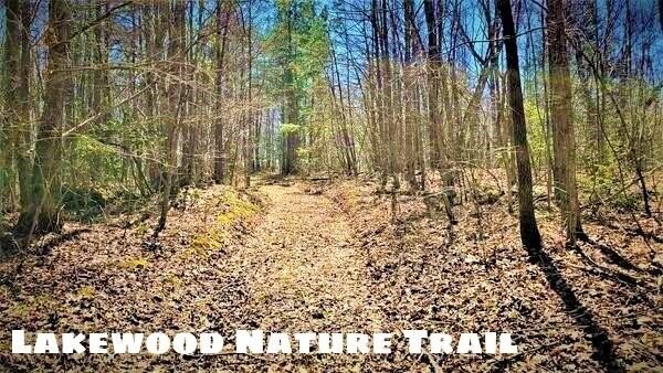 Residential Land in Corbin, KY