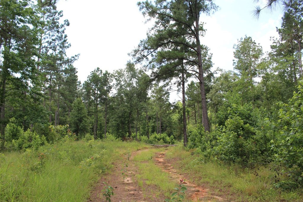 Picture 20
