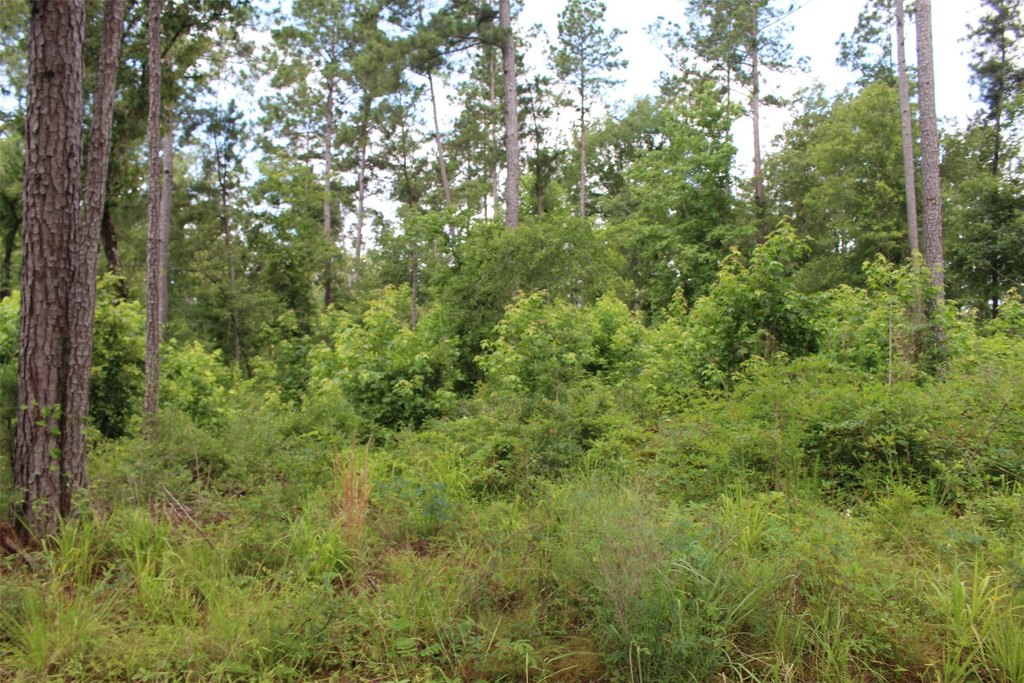 Picture 21