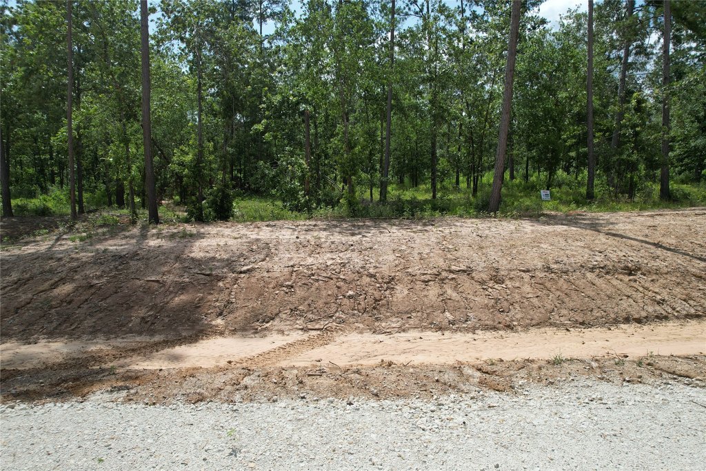 Picture 8