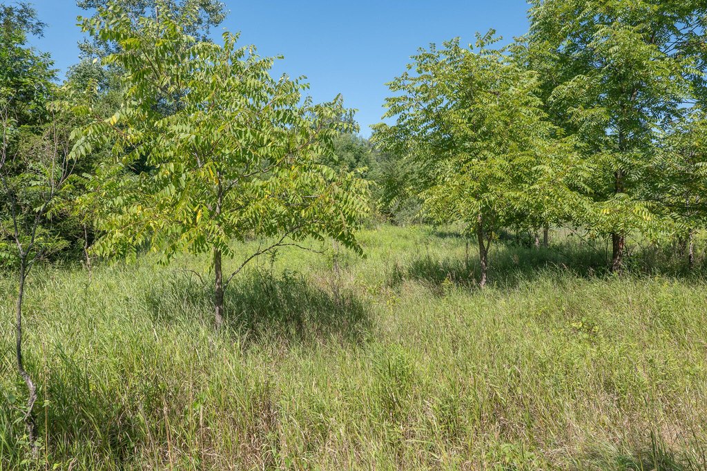 Picture 29