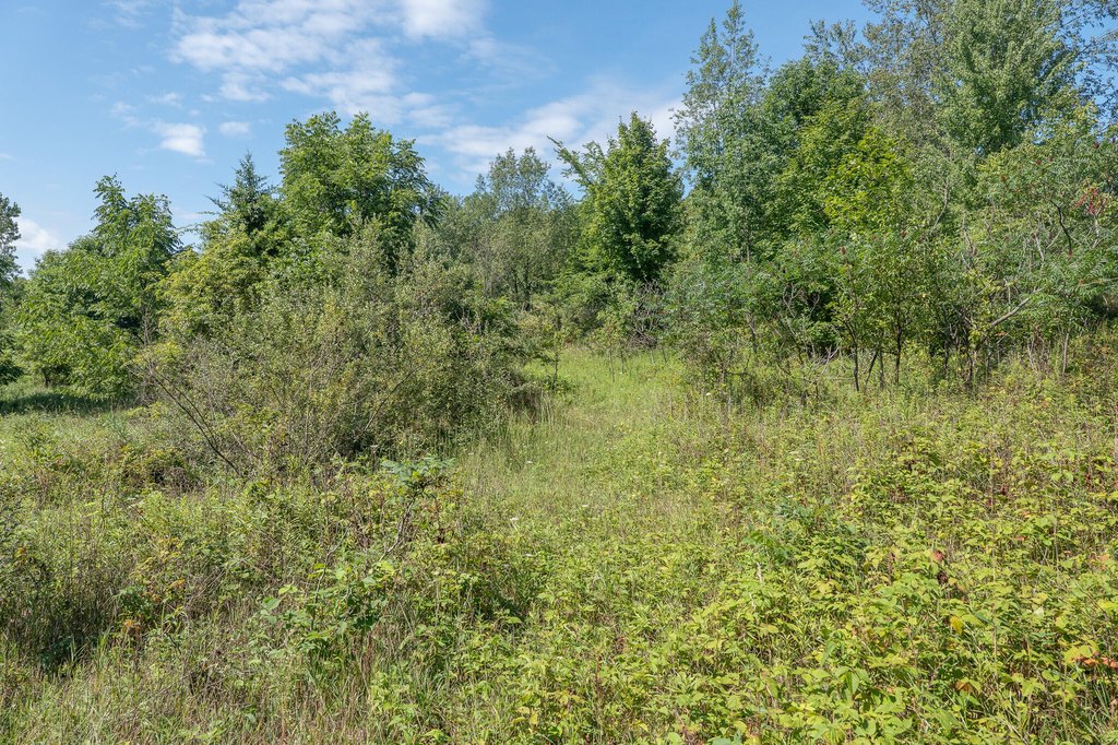 Picture 22