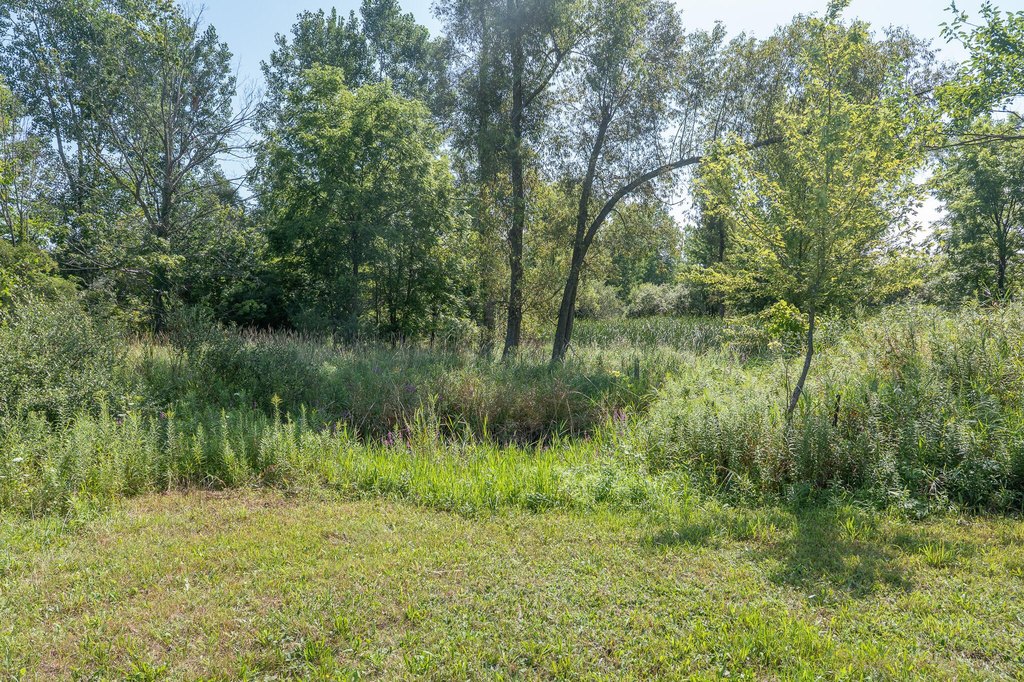 Picture 32