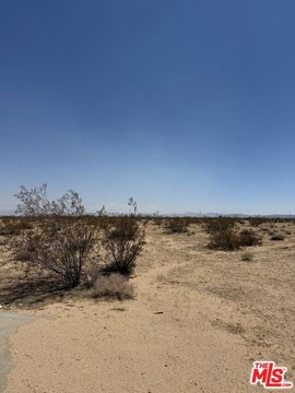 Joshua Tree Land Parcel