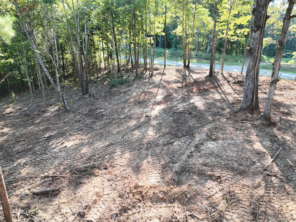 Picture 4