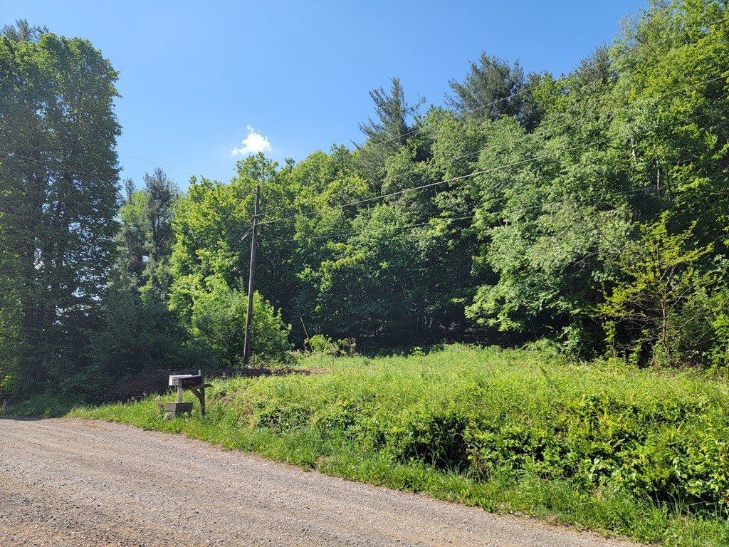 Picture 33