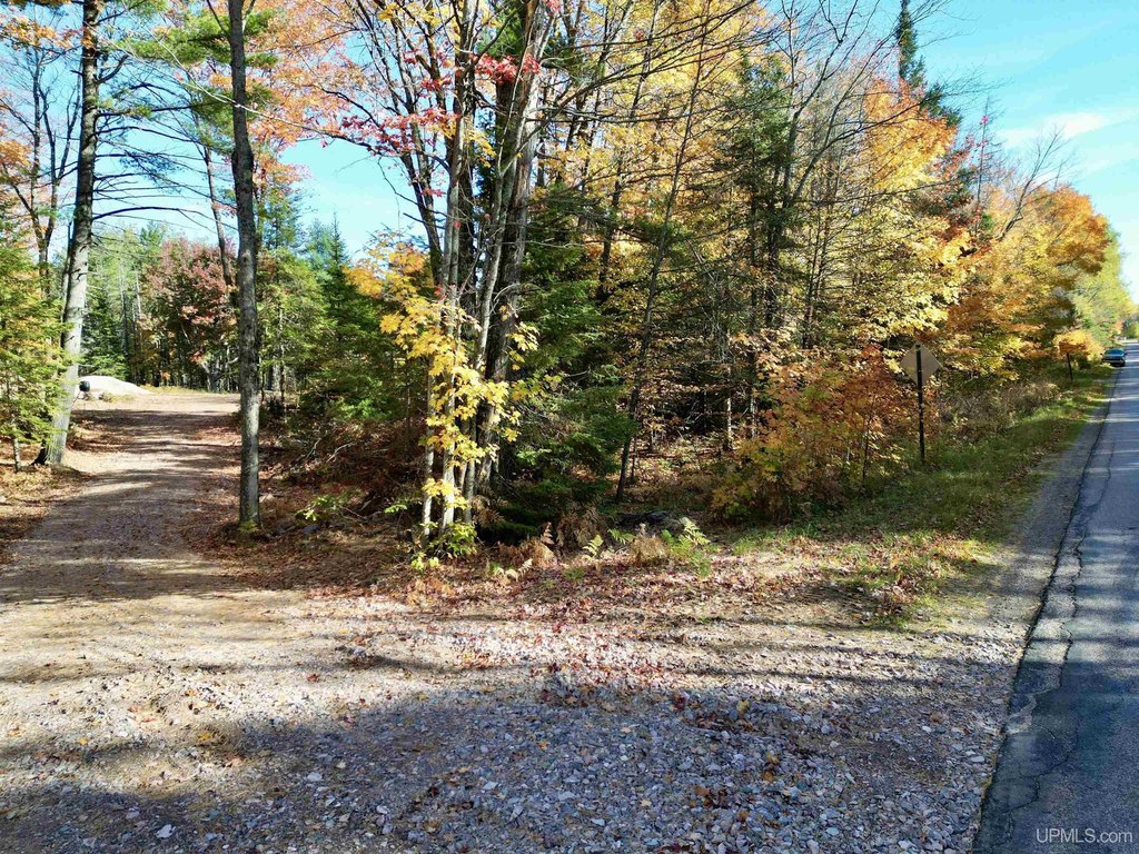 Picture 16