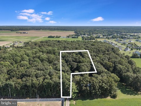 Milford, DE Wooded Land