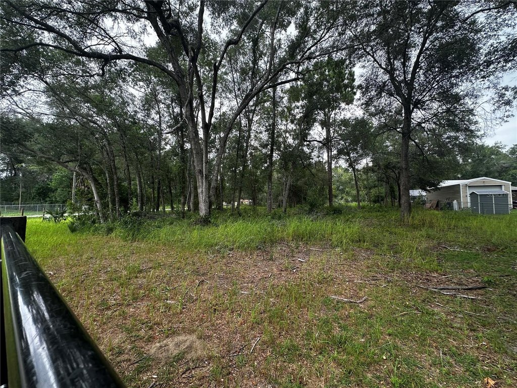 Picture 13