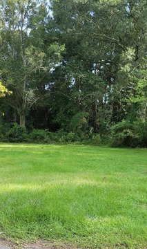Land For Sale, Sumter SC
