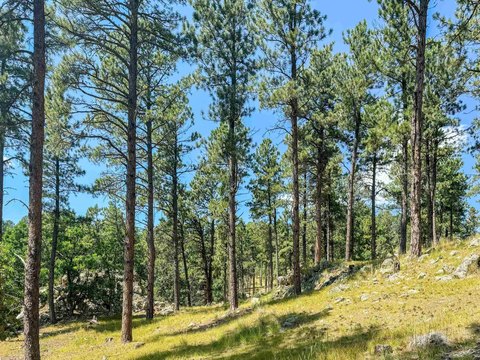 Residential Land in Lakota Lakes