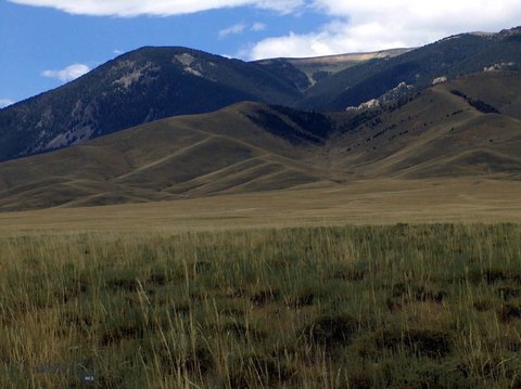 Remote Montana Land with Mountain Views