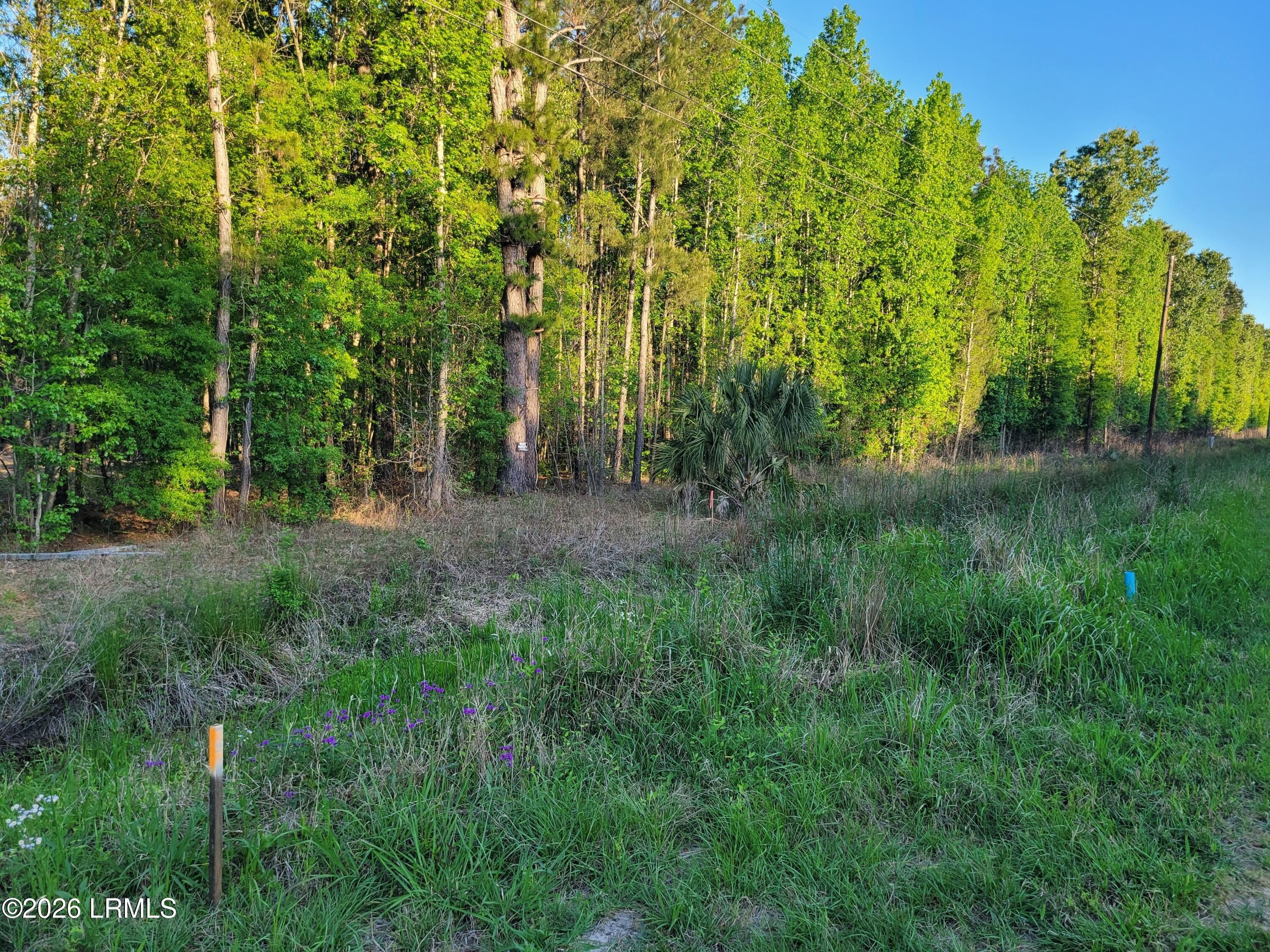 Hardeeville Land For Sale