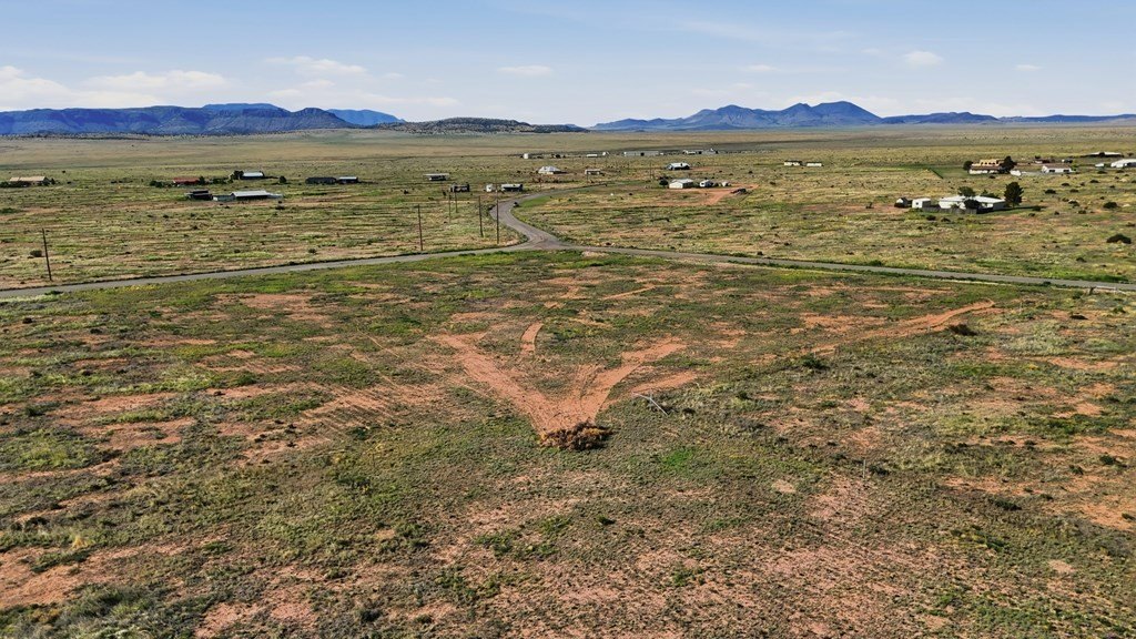 Picture 13