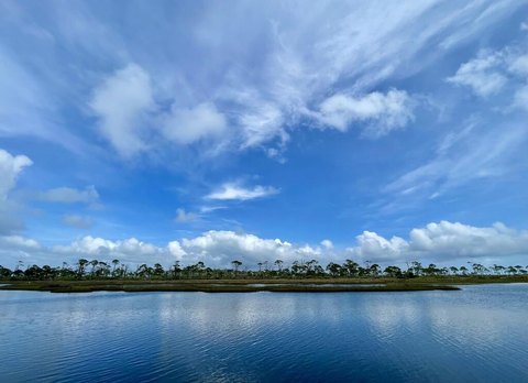 Land, Cape San Blas, FL
